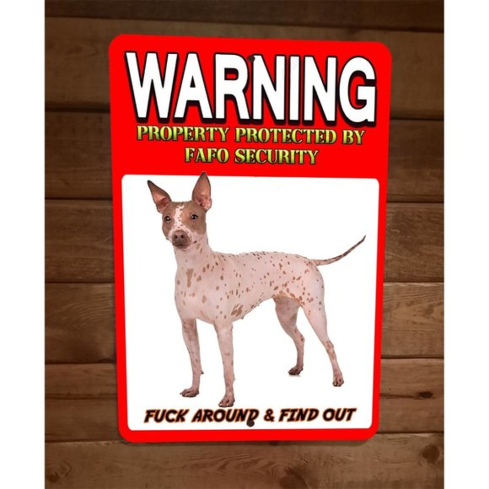 Property Protected FAFO Security Hairless Terrier Dog 8x12 Wall Animal Sign